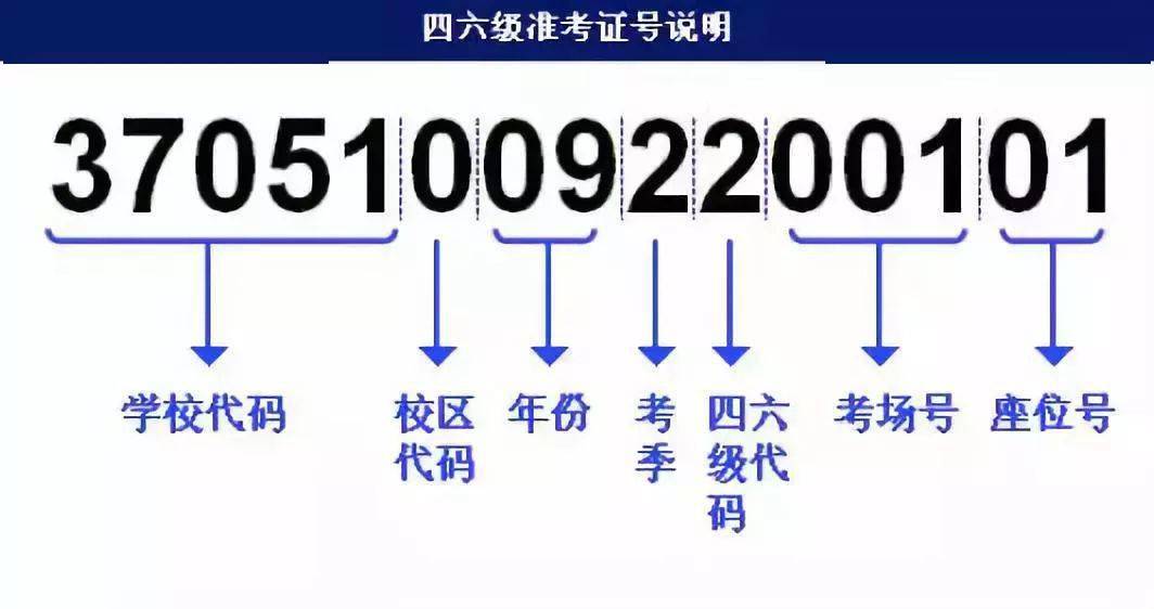 494949最快开奖结果+香港,快速问题处理策略_Holo55.957