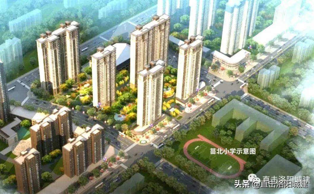 2024香港挂牌免费资料,功能性操作方案制定_挑战款54.19