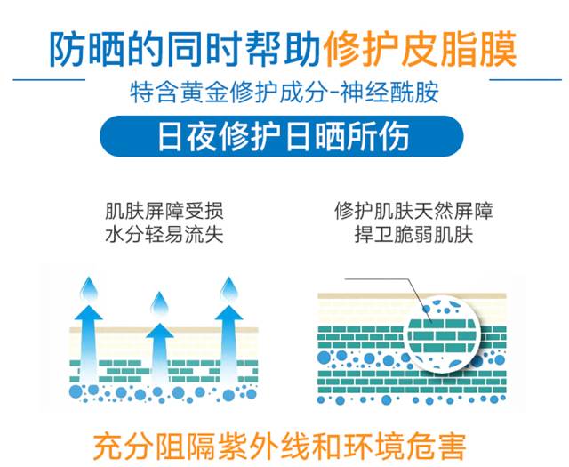 新澳今天最新免费资料,高效实施设计策略_Ultra36.510