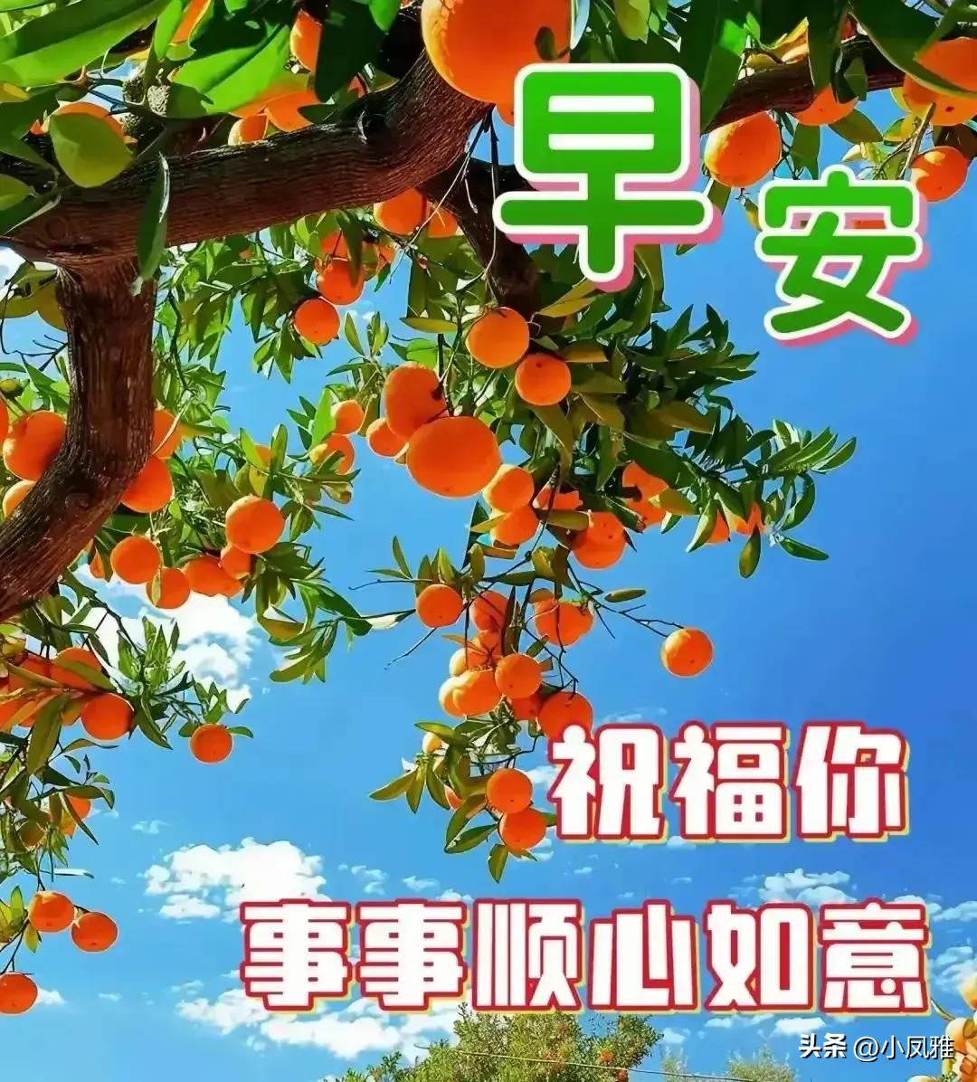 艺术设计 第196页