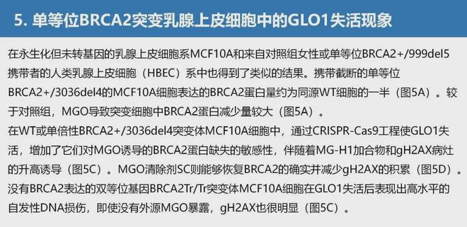 新澳最新最快资料｜热门解析解读