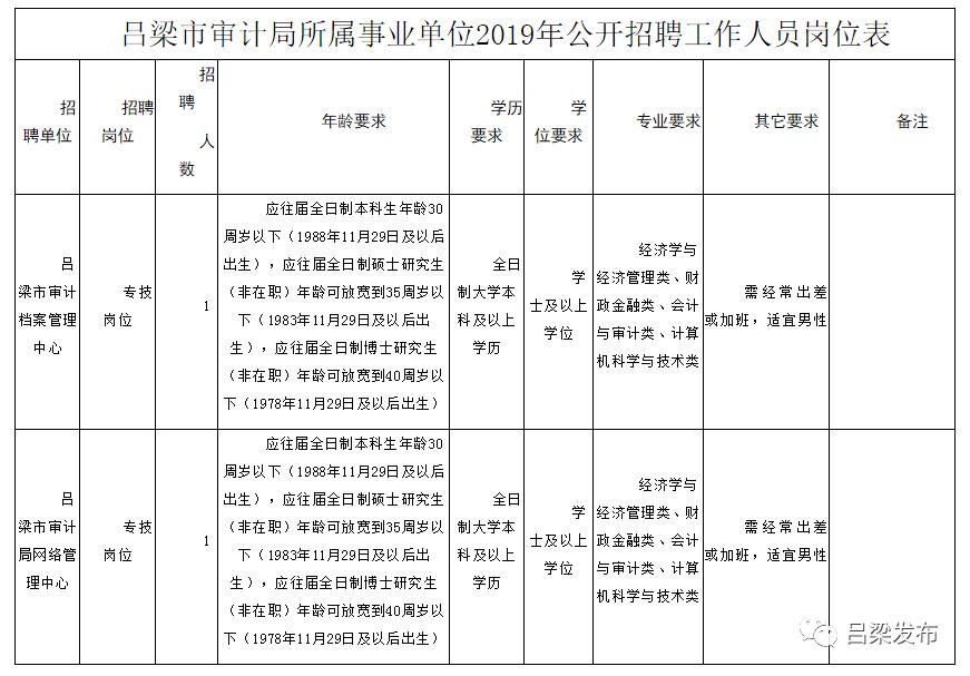 新建县审计局最新招聘启事详解