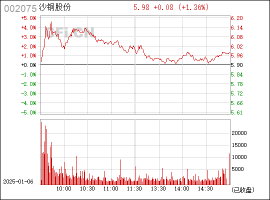 沙钢股份最新动态与行业展望分析